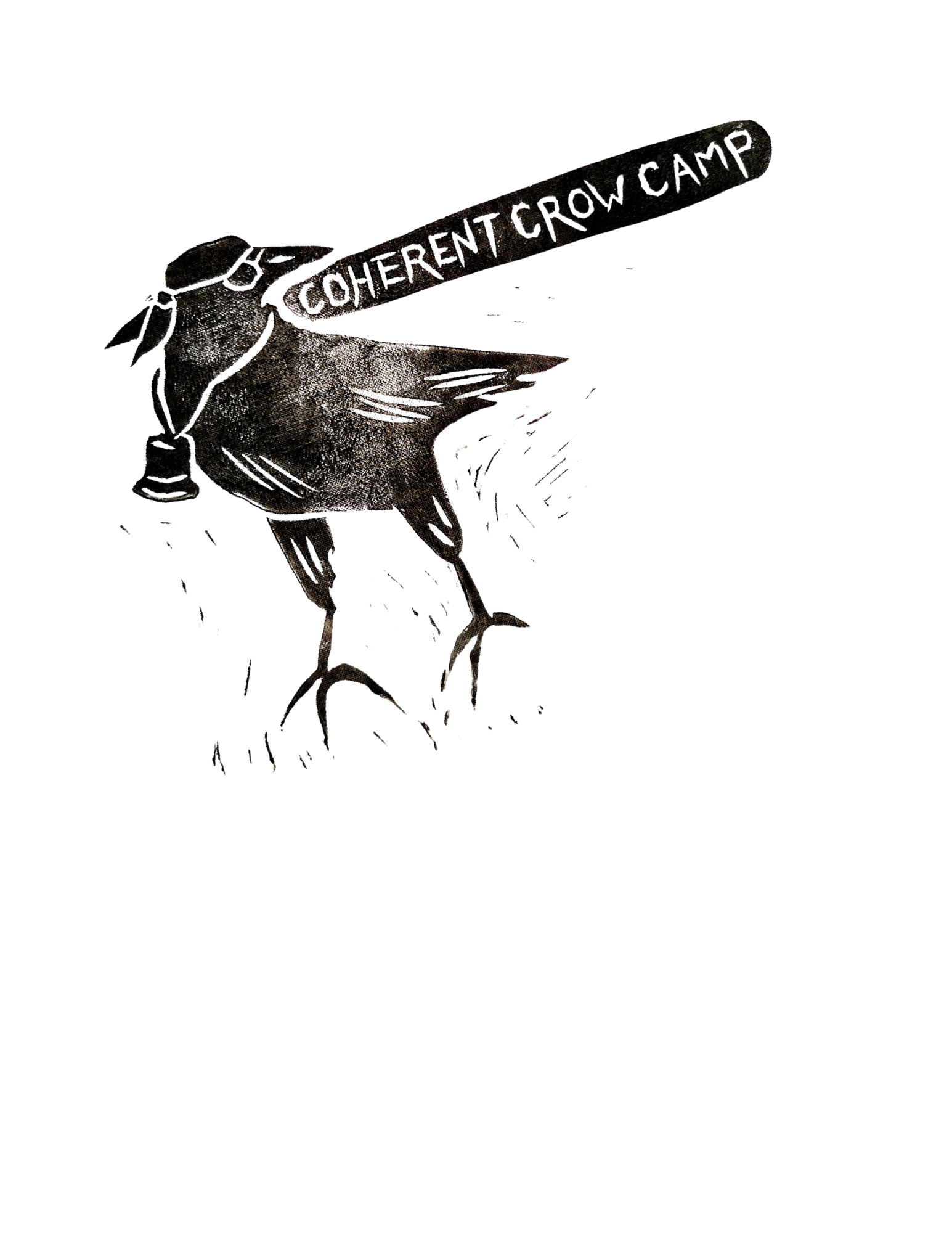 Coherent Crow Camp