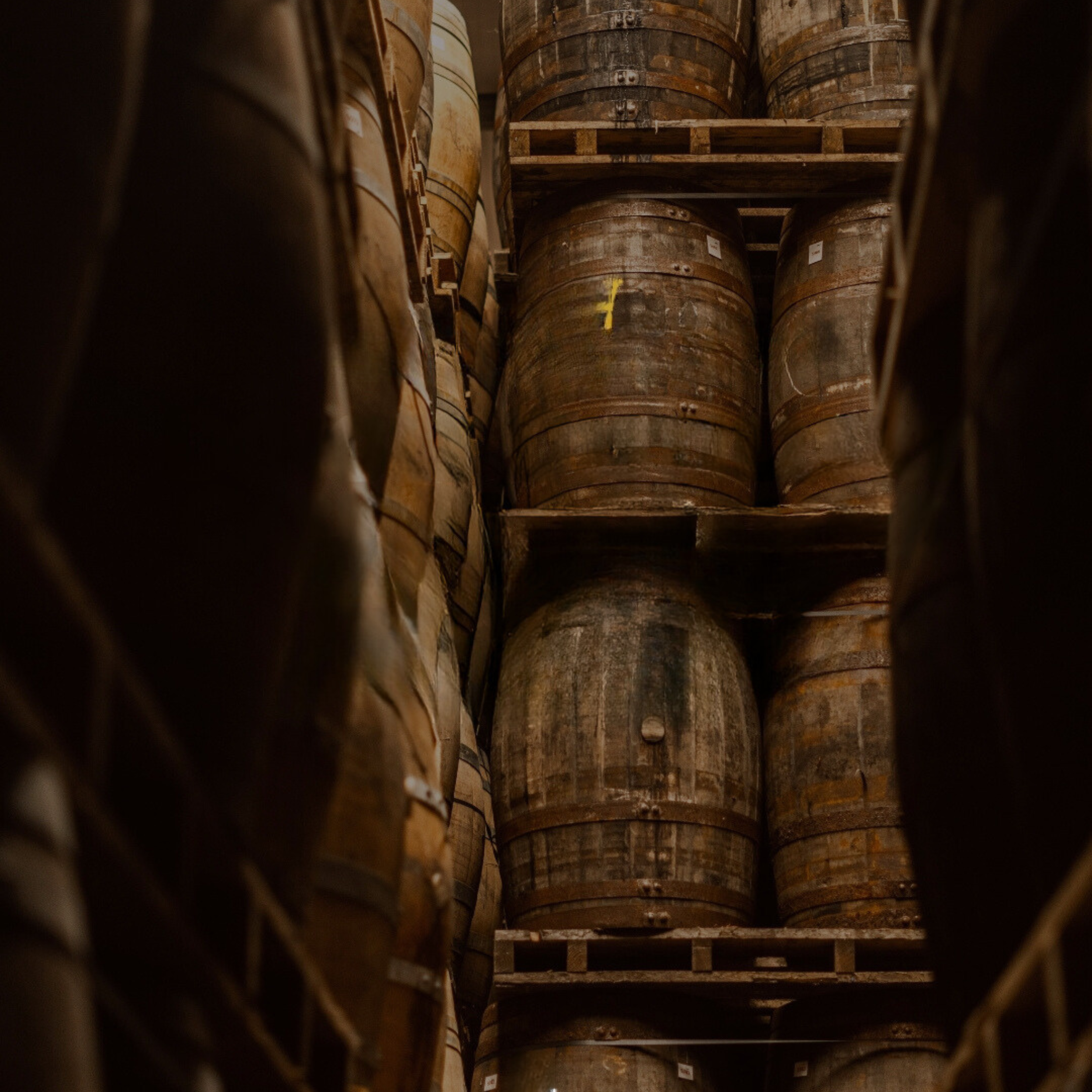 Dingle Distillery Cask Programme