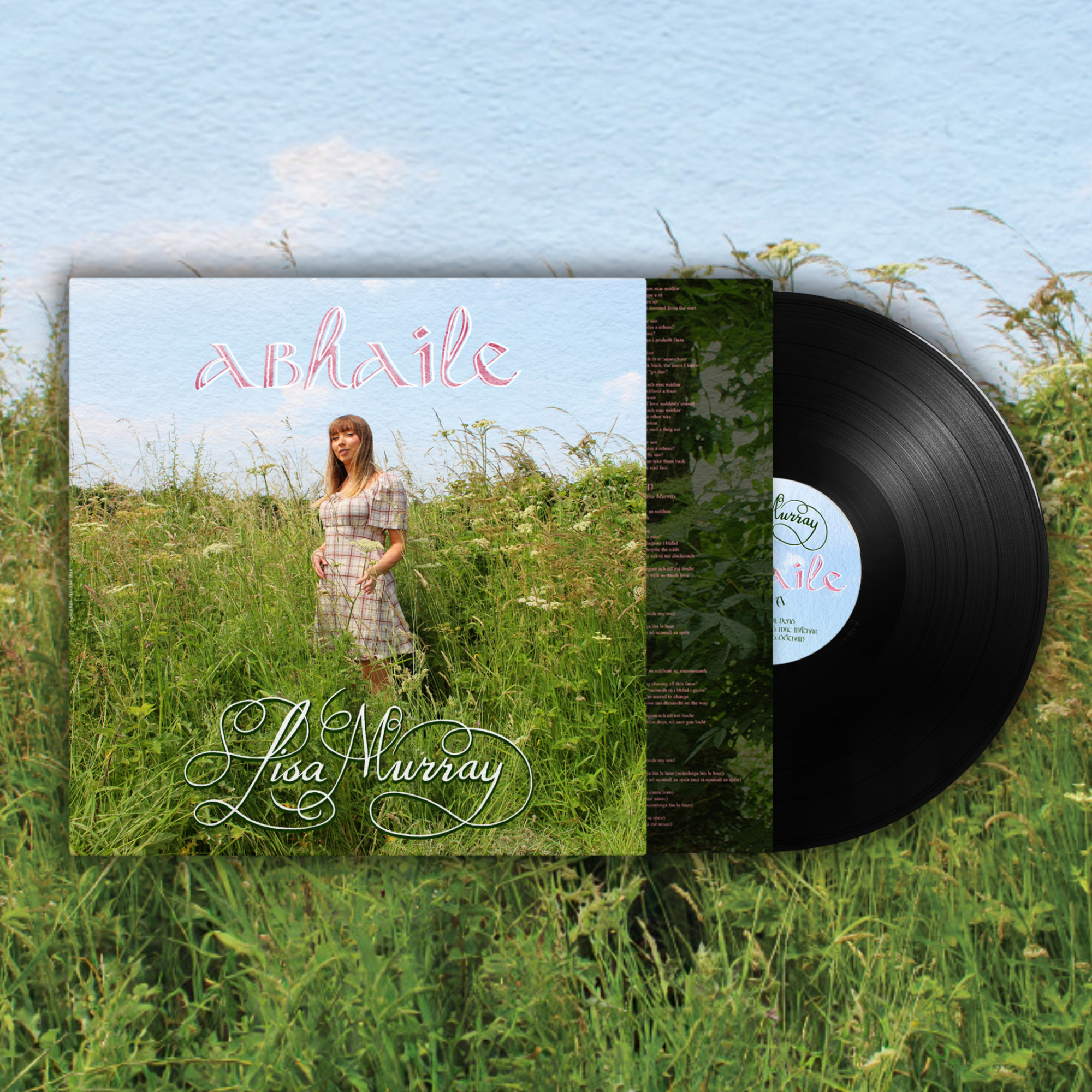 'Abhaile' Vinyl LP | €30.00