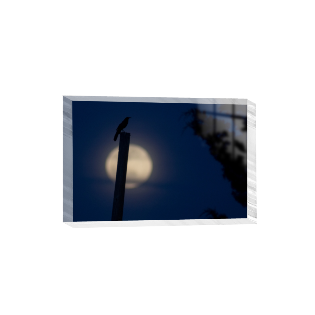 ptq_300_3_0_597_3607_2404_0_false_ffffff_0_0_.png
