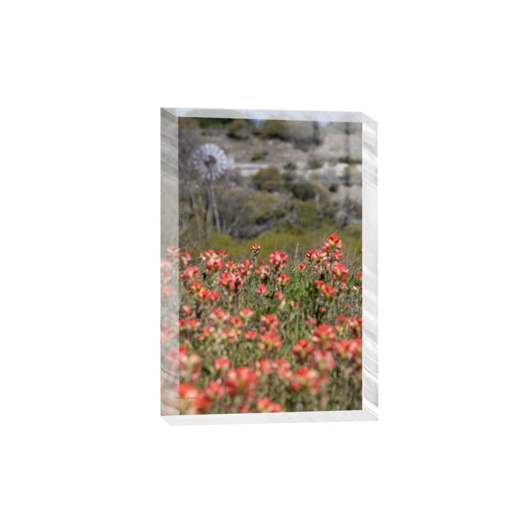 ptq_300_3_0_0_4640_6960_0_false_ffffff_0_0_.png