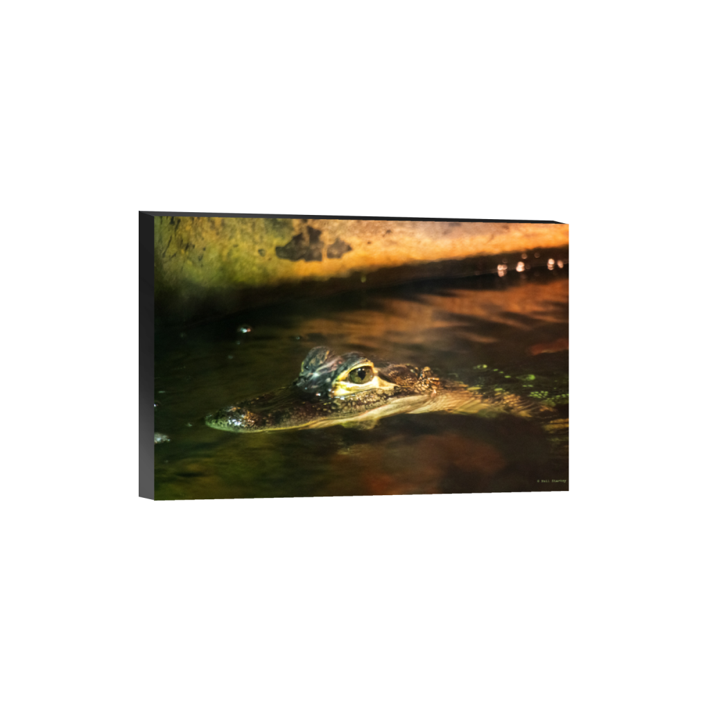 ptq_32_3_0_0_6960_4640_0_false_ffffff_0_0_.png