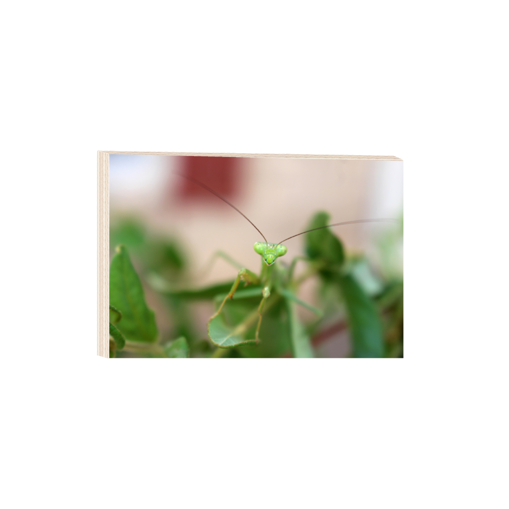 ptq_29_3_0_0_5184_3456_0_false_ffffff_0_0_.png