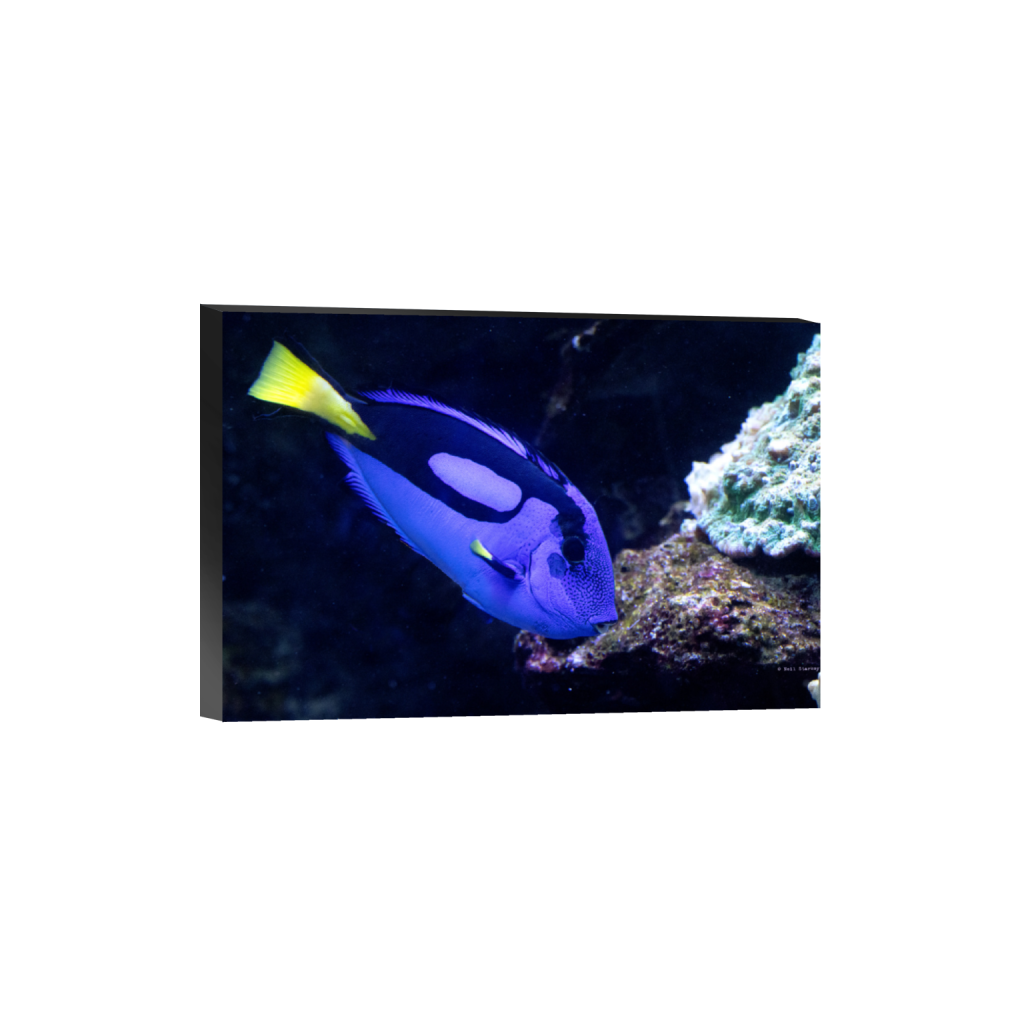 ptq_32_3_0_0_6960_4640_0_false_ffffff_0_0_.png