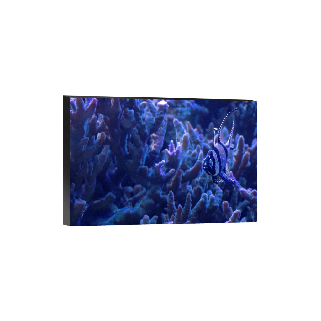 ptq_32_3_0_0_6960_4640_0_false_ffffff_0_0_.png