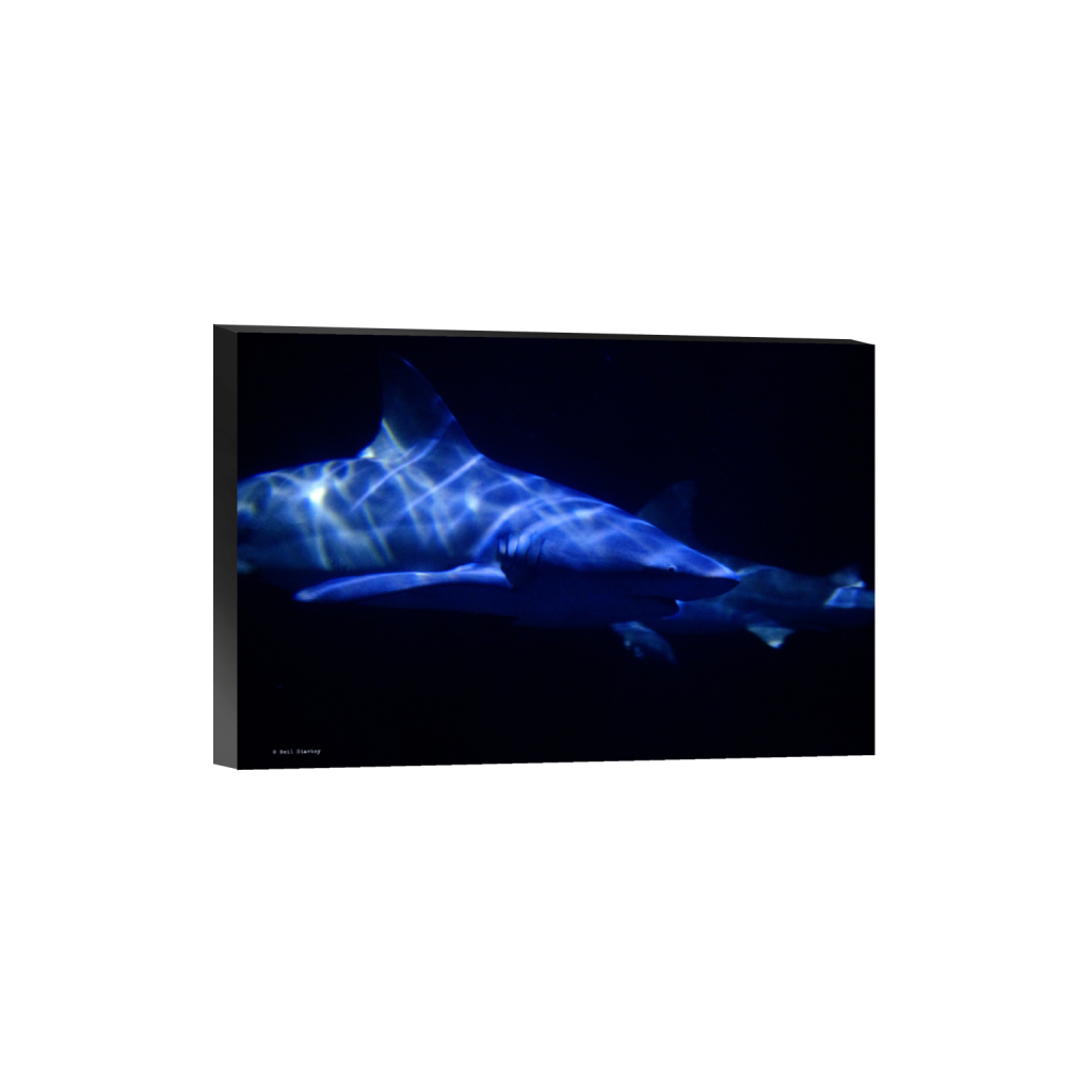 ptq_32_3_0_0_6960_4640_0_false_ffffff_0_0_.png