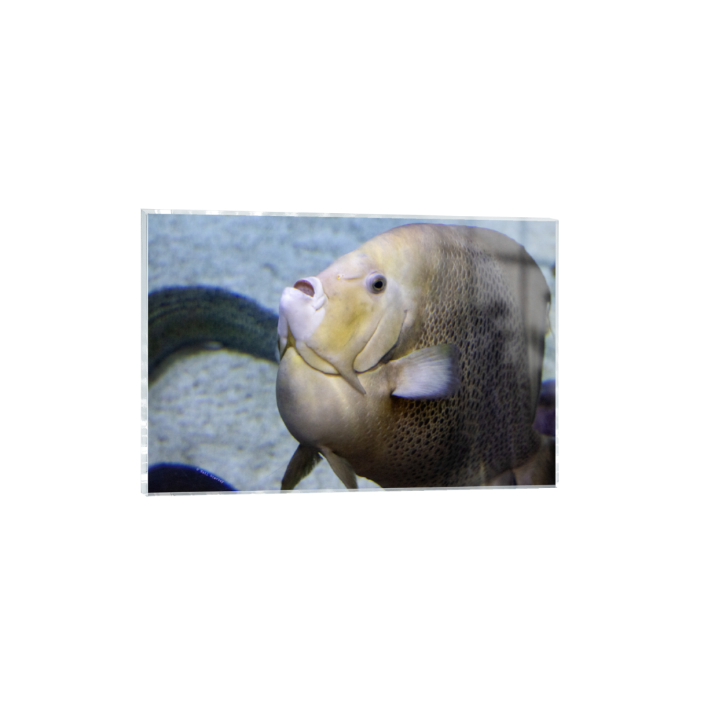 ptq_17_3_0_0_6960_4640_0_false_ffffff_0_0_.png