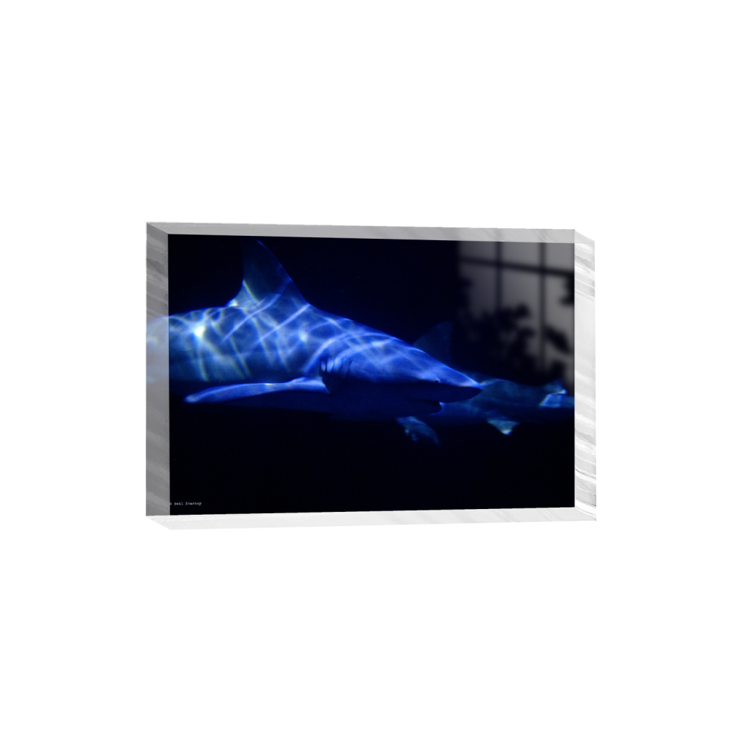 ptq_300_3_0_0_6960_4640_0_false_ffffff_0_0_.png