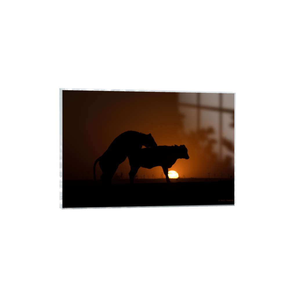 ptq_17_3_0_0_6960_4640_0_false_ffffff_0_0_.png