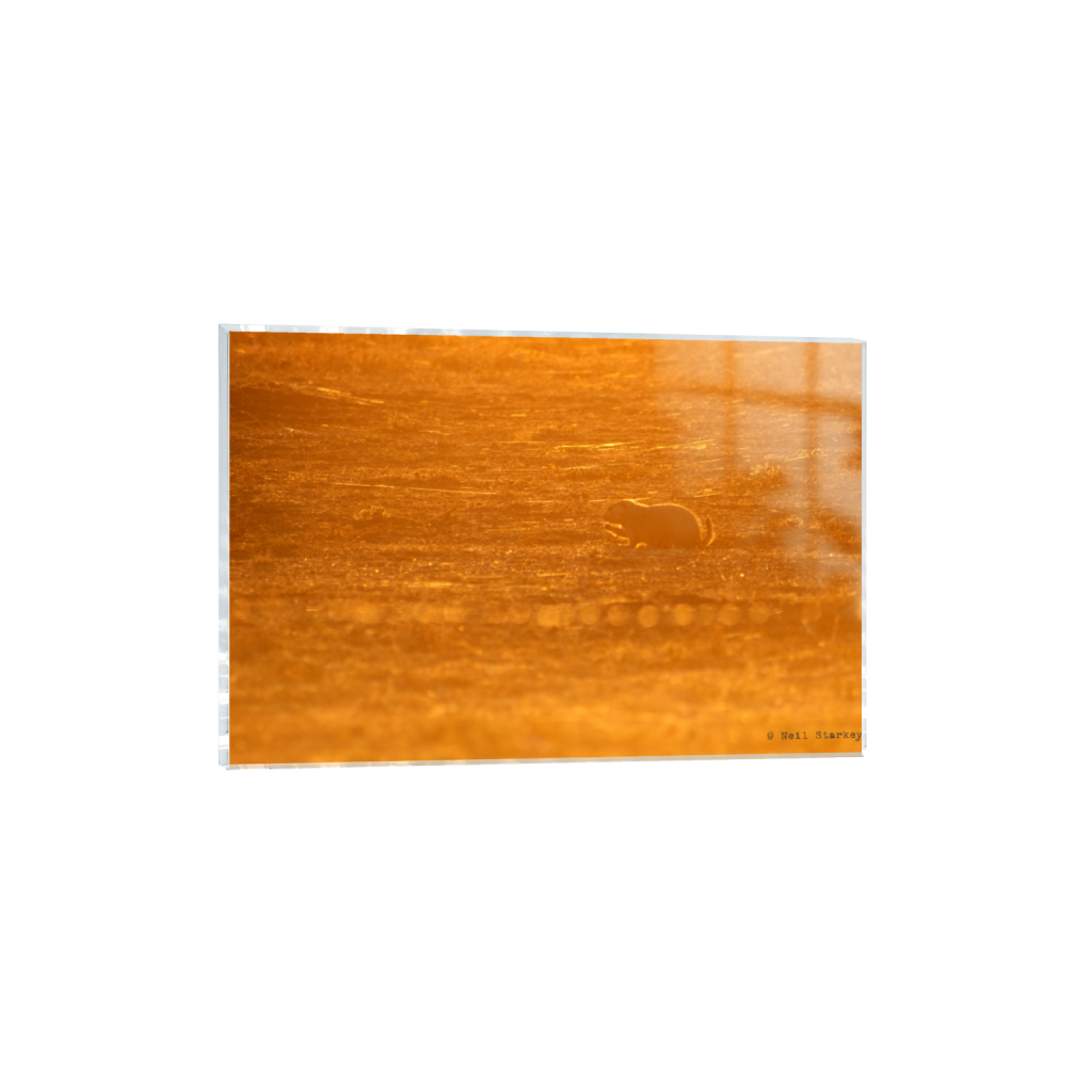 ptq_17_3_0_0_6960_4640_0_false_ffffff_0_0_.png