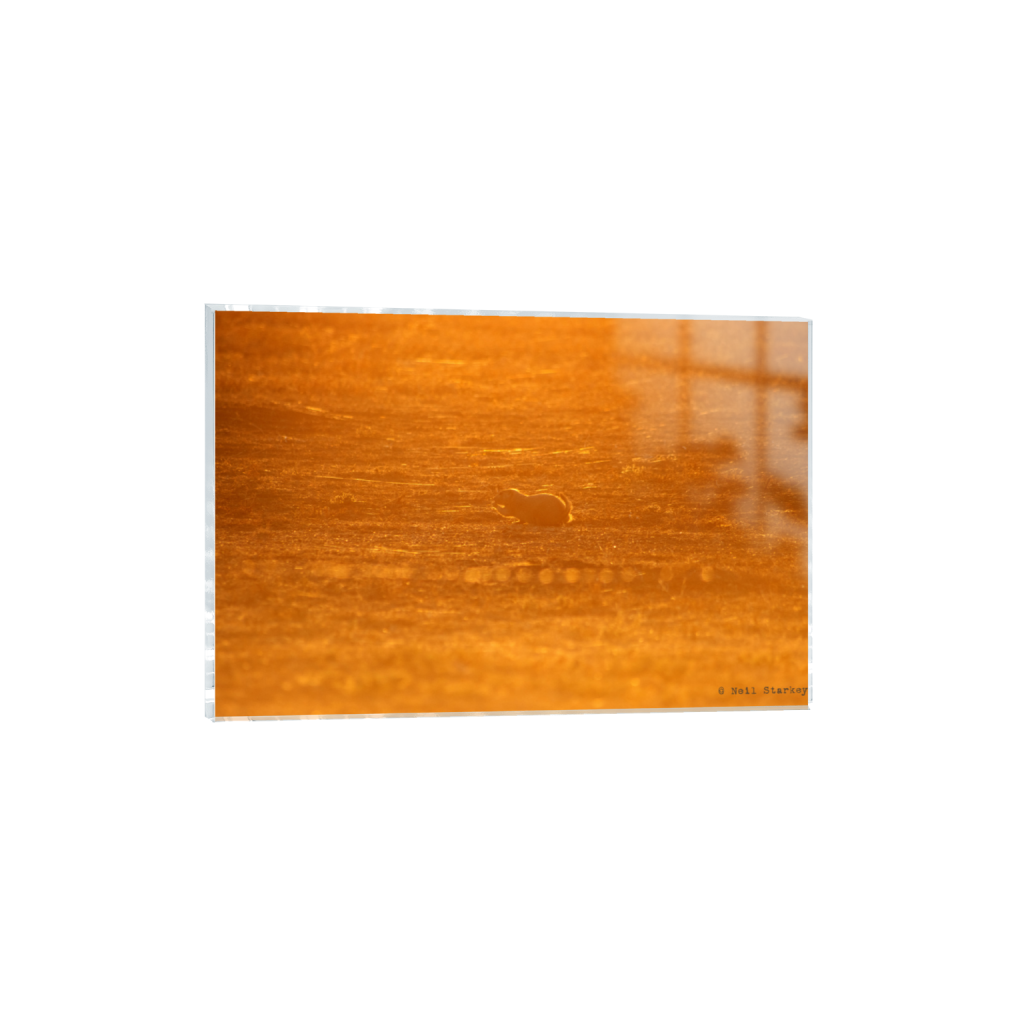 ptq_17_3_0_0_6960_4640_0_false_ffffff_0_0_.png