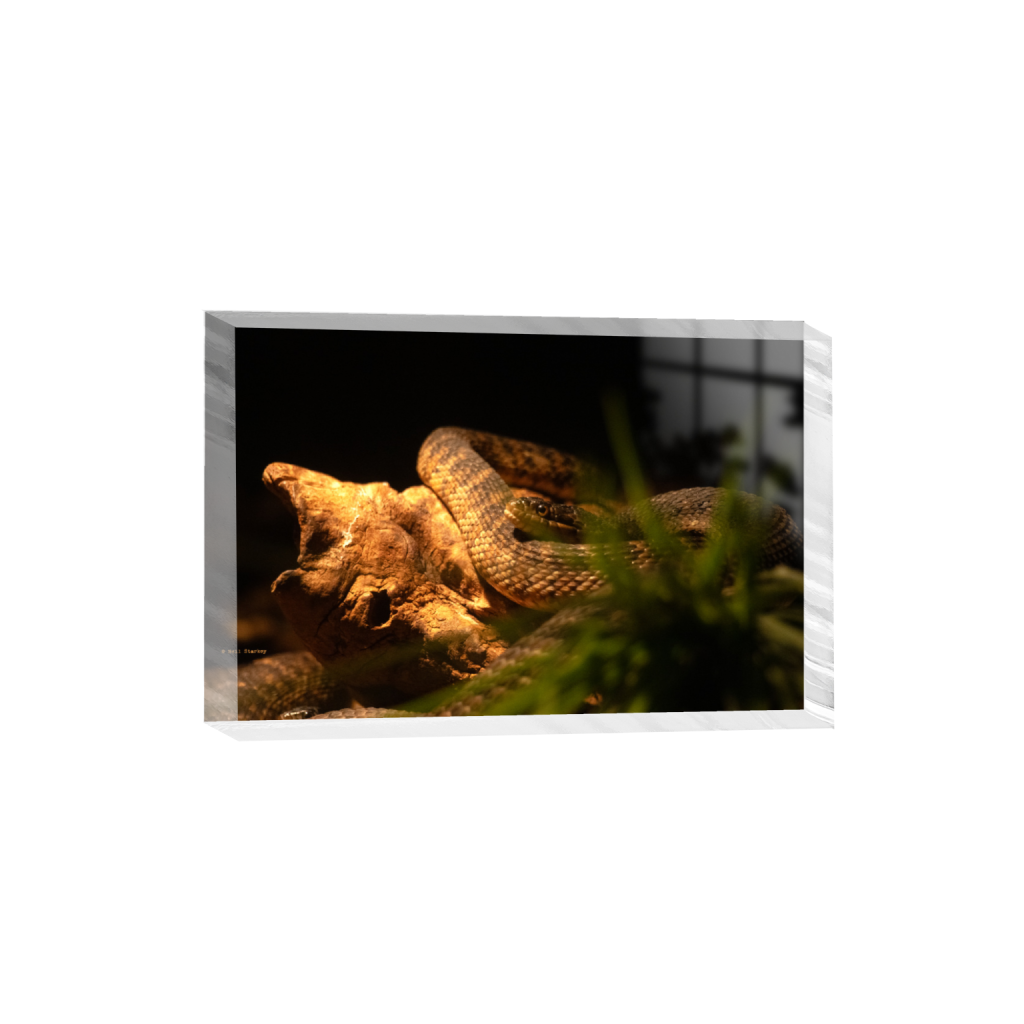 ptq_300_3_0_0_6960_4640_0_false_ffffff_0_0_.png