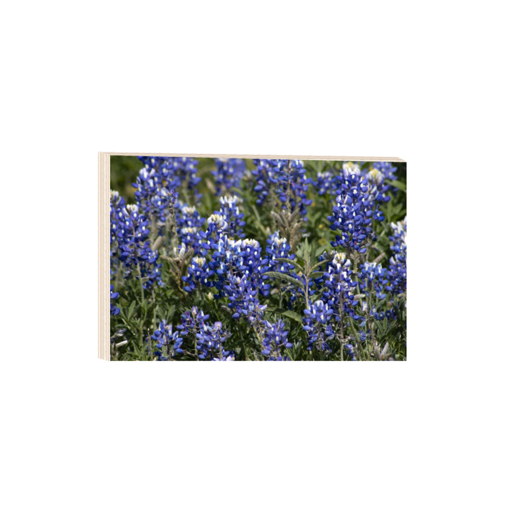 ptq_29_3_0_0_6960_4640_0_false_ffffff_0_0_.png