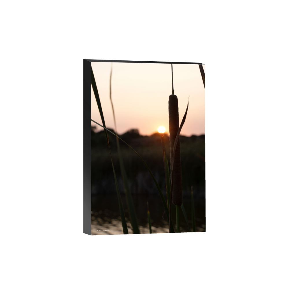 ptq_32_3_0_0_4800_7200_0_false_ffffff_0_0_.png