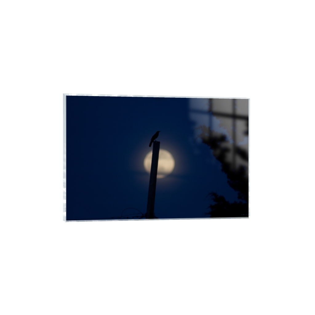 ptq_17_3_0_0_5400_3600_0_false_ffffff_0_0_.png