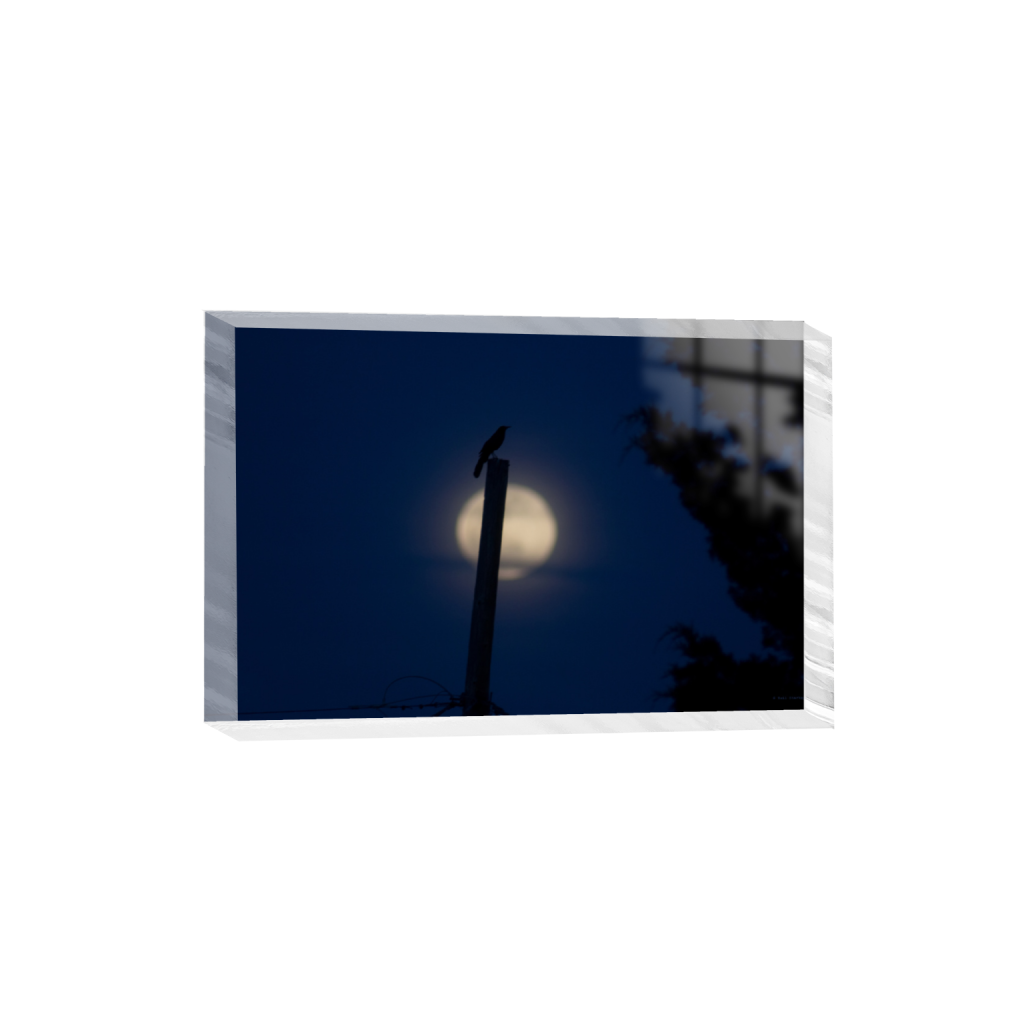 ptq_300_3_0_0_5400_3600_0_false_ffffff_0_0_.png