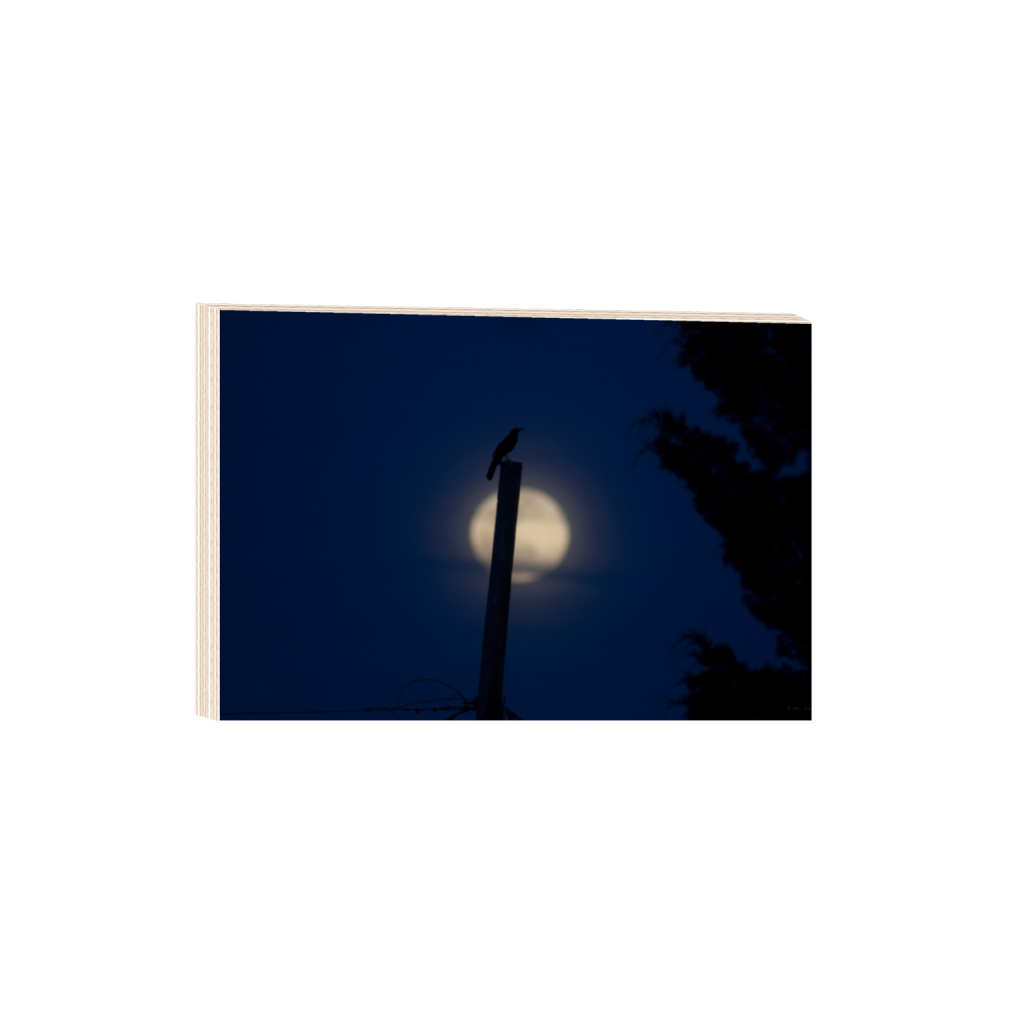ptq_29_3_0_0_5400_3600_0_false_ffffff_0_0_.png