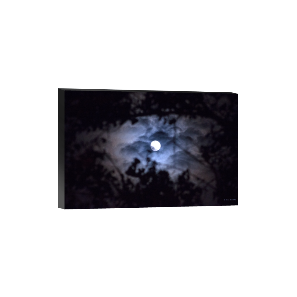 ptq_32_3_0_0_5184_3456_0_false_ffffff_0_0_.png