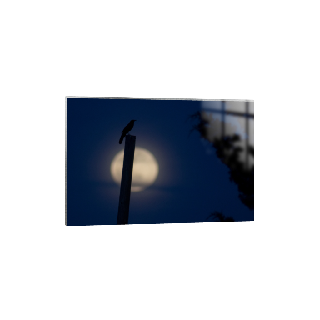 ptq_13_3_0_597_3607_2404_0_false_ffffff_0_0_.png