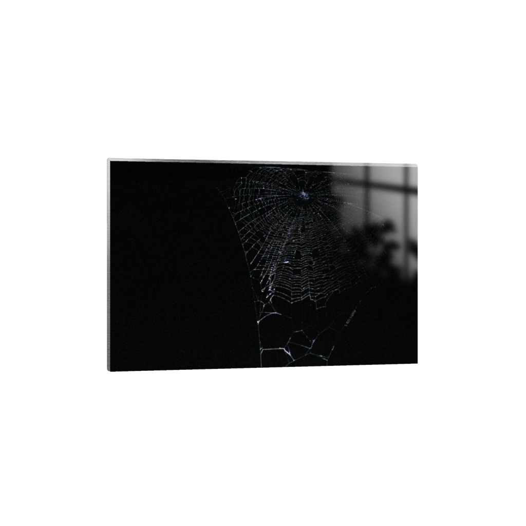 ptq_13_3_0_0_6960_4640_0_false_ffffff_0_0_.png