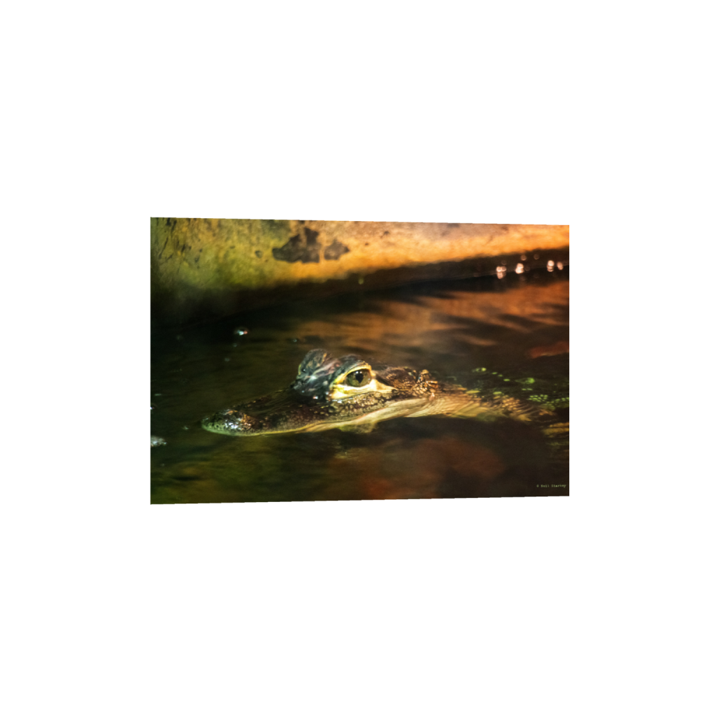 ptq_1_3_0_0_6960_4640_0_false_ffffff_0_0_.png
