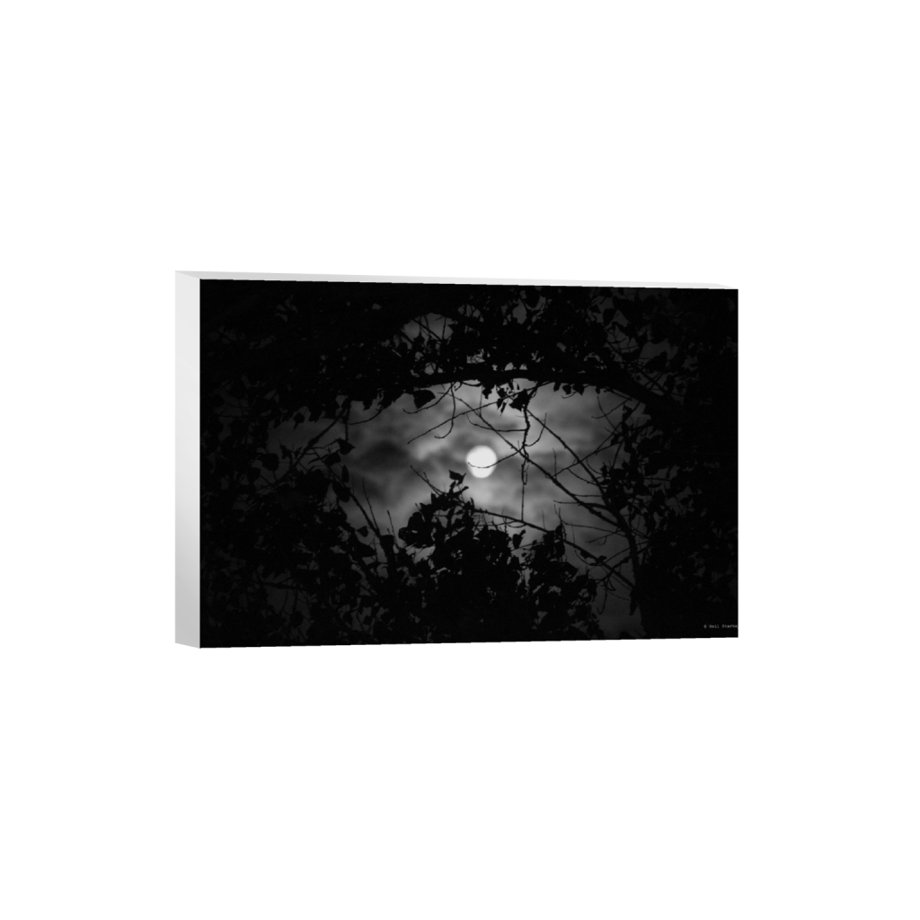 ptq_7_3_0_0_5184_3456_0_false_ffffff_0_0_.png