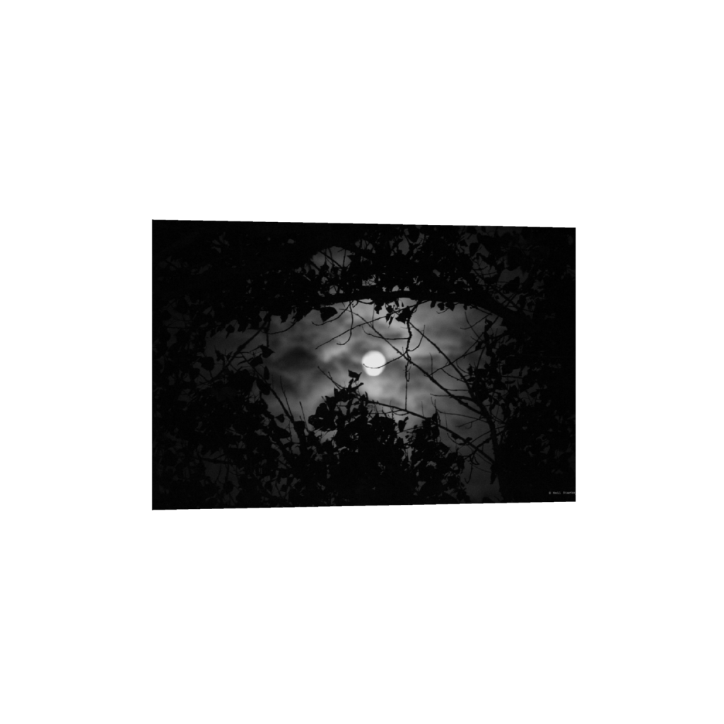 ptq_1_3_0_0_5184_3456_0_false_ffffff_0_0_.png