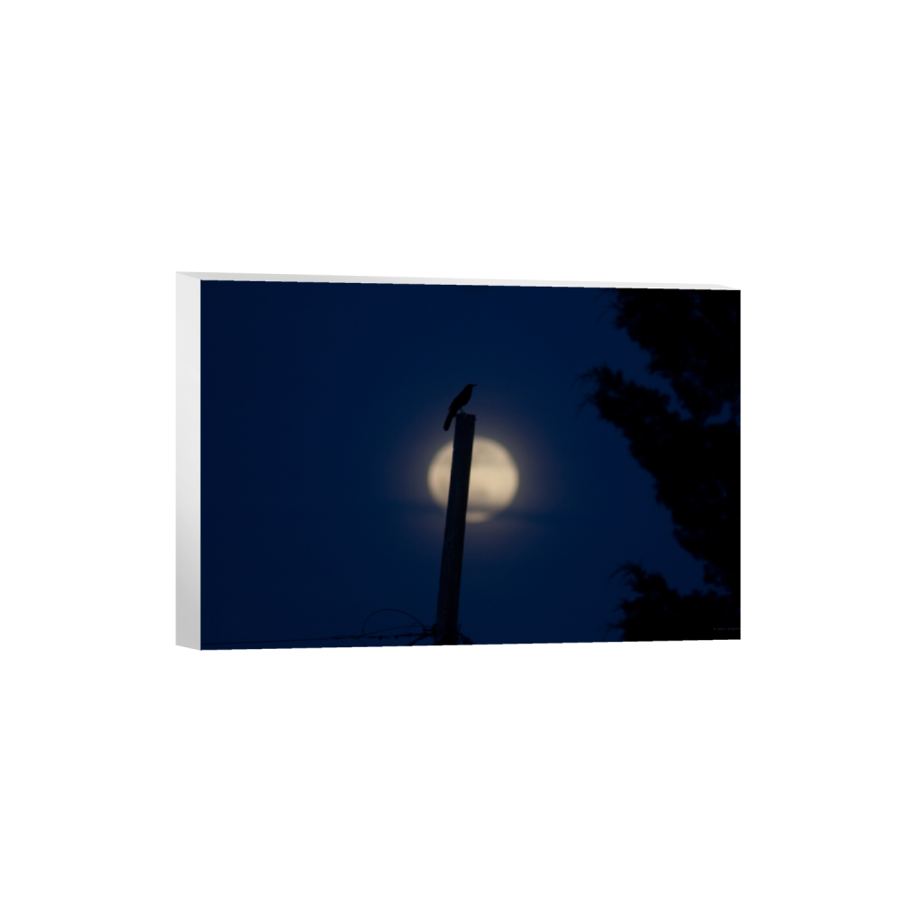ptq_7_3_0_0_5400_3600_0_false_ffffff_0_0_.png