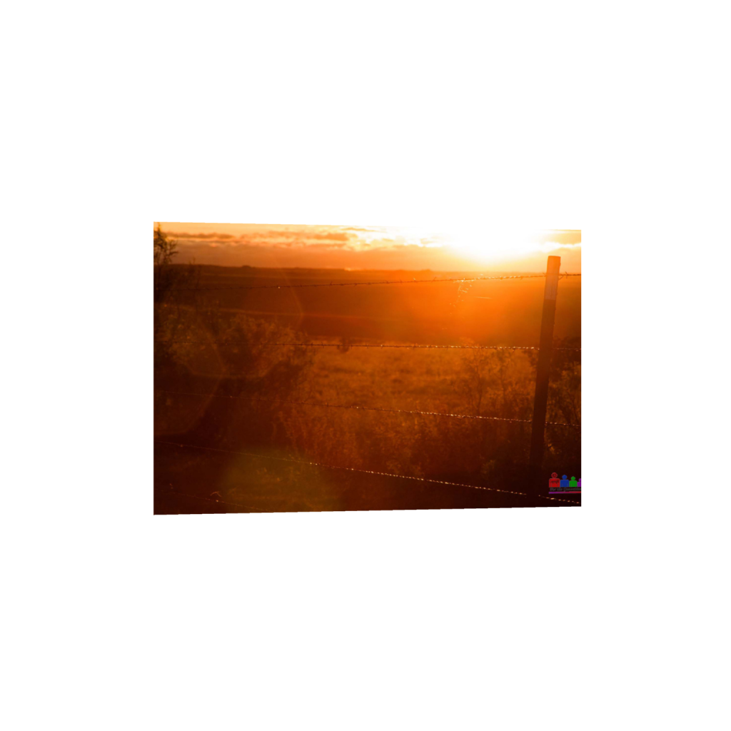 ptq_1_3_0_0_3600_2400_0_false_ffffff_0_0_.png