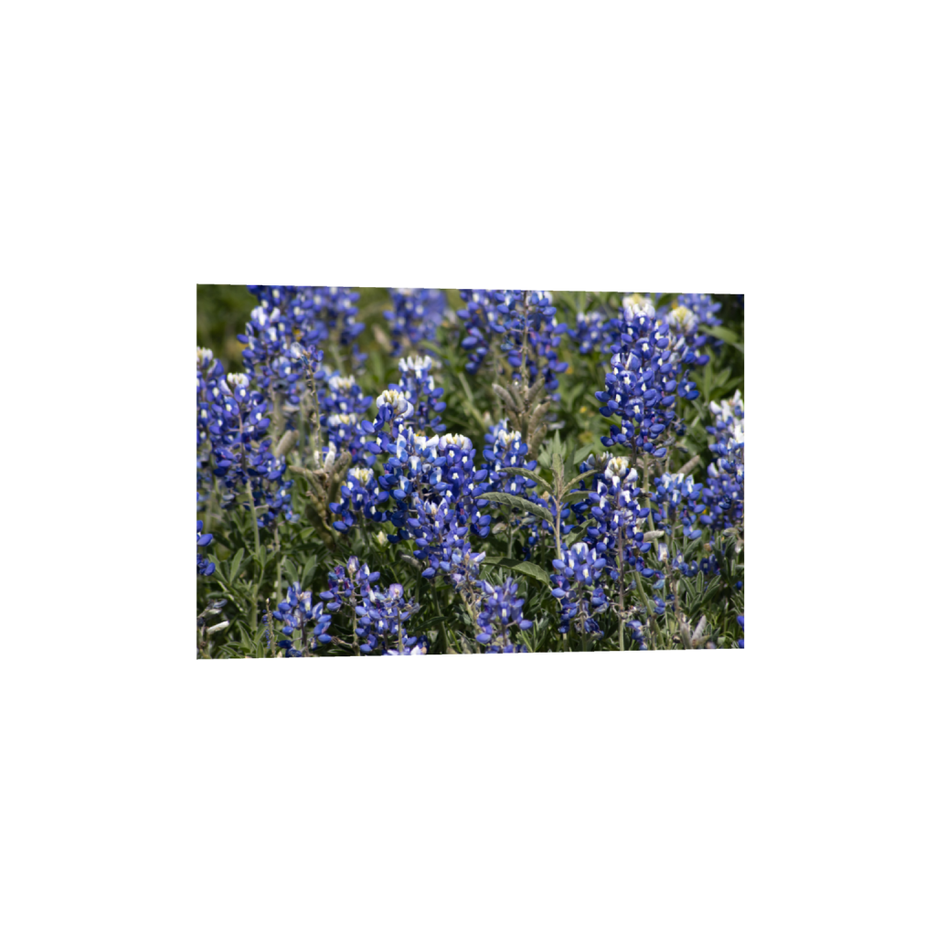 ptq_34_3_0_0_6960_4640_0_false_ffffff_0_0_.png
