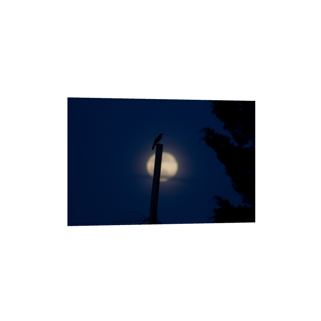 ptq_34_3_0_0_5400_3600_0_false_ffffff_0_0_.png