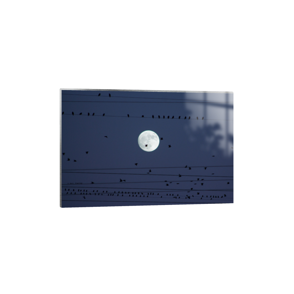 ptq_13_3_0_0_5184_3456_0_false_ffffff_0_0_.png