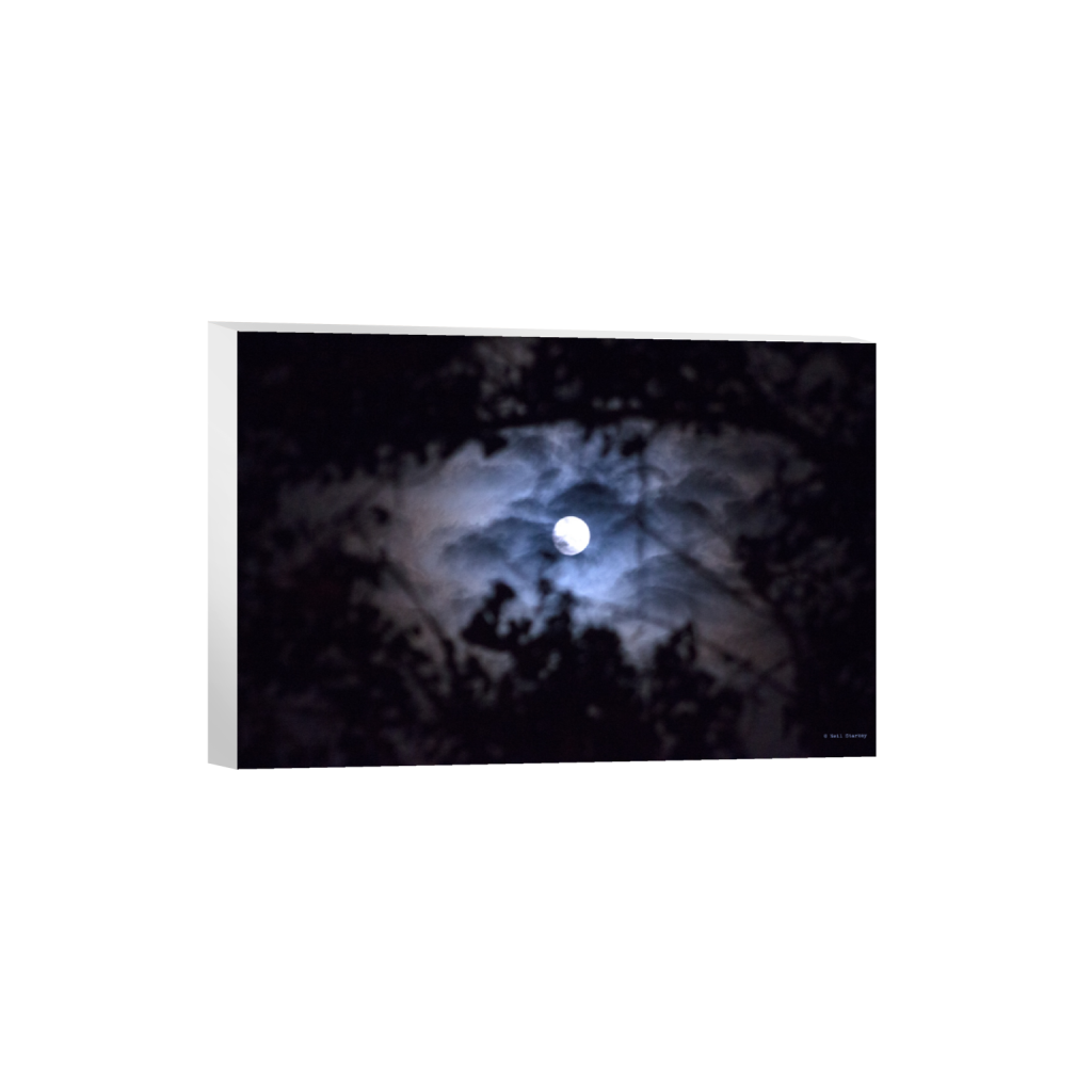 ptq_7_3_0_0_5184_3456_0_false_ffffff_0_0_.png