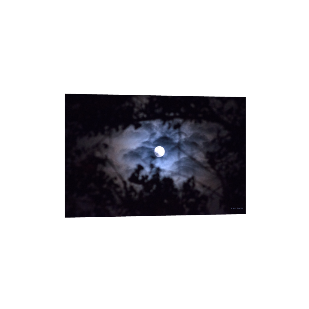 ptq_1_3_0_0_5184_3456_0_false_ffffff_0_0_.png