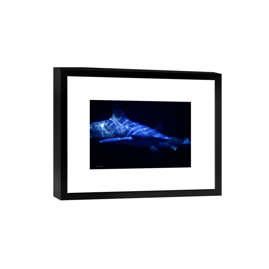 ptq_45_3_0_0_6960_4640_0_false_ffffff_0_0_.png
