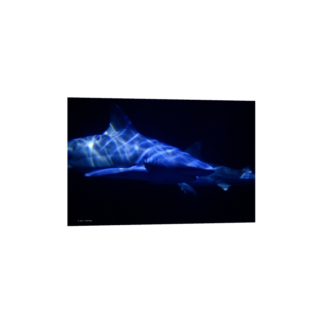 ptq_1_3_0_0_6960_4640_0_false_ffffff_0_0_.png