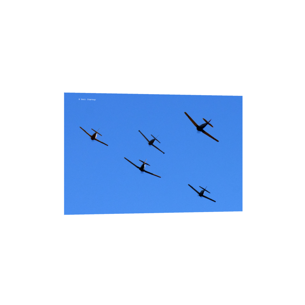 ptq_1_3_0_0_6960_4640_0_false_ffffff_0_0_.png