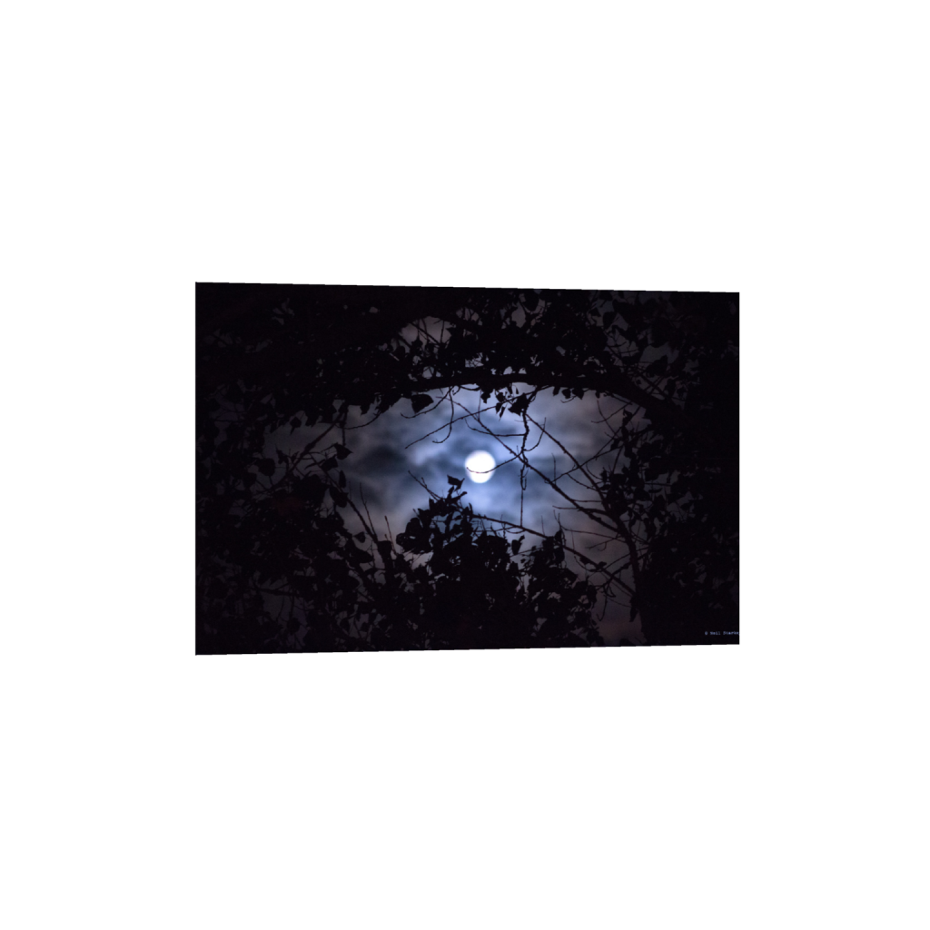 ptq_1_3_0_0_5184_3456_0_false_ffffff_0_0_.png