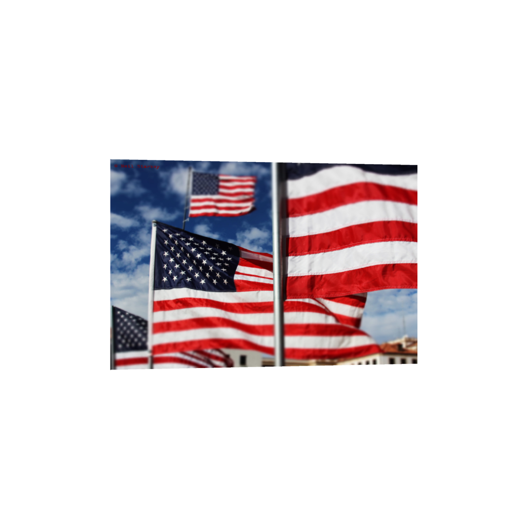 ptq_1_3_0_0_7200_4800_0_false_ffffff_0_0_.png