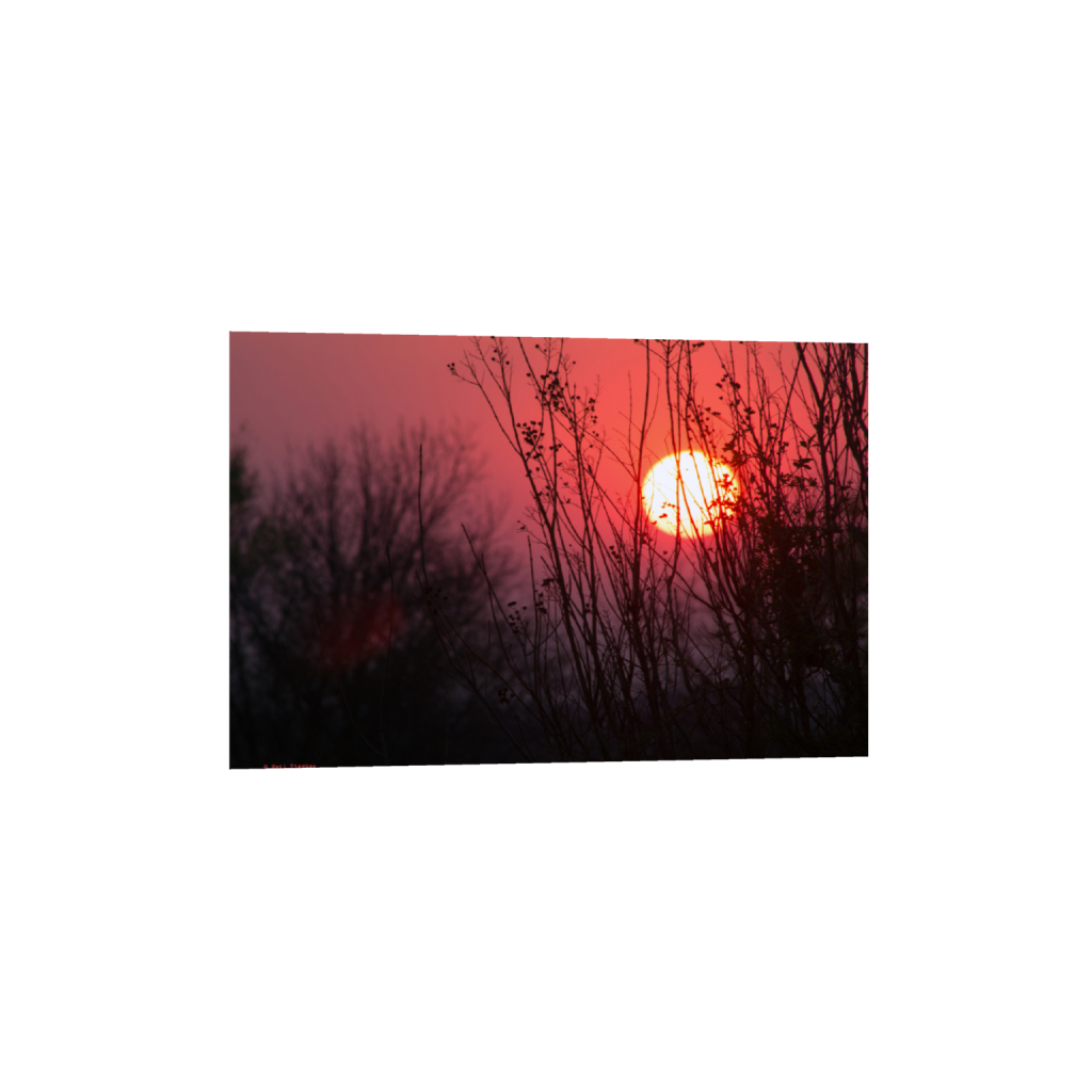 ptq_1_3_0_302_7200_4800_0_false_ffffff_0_0_.png