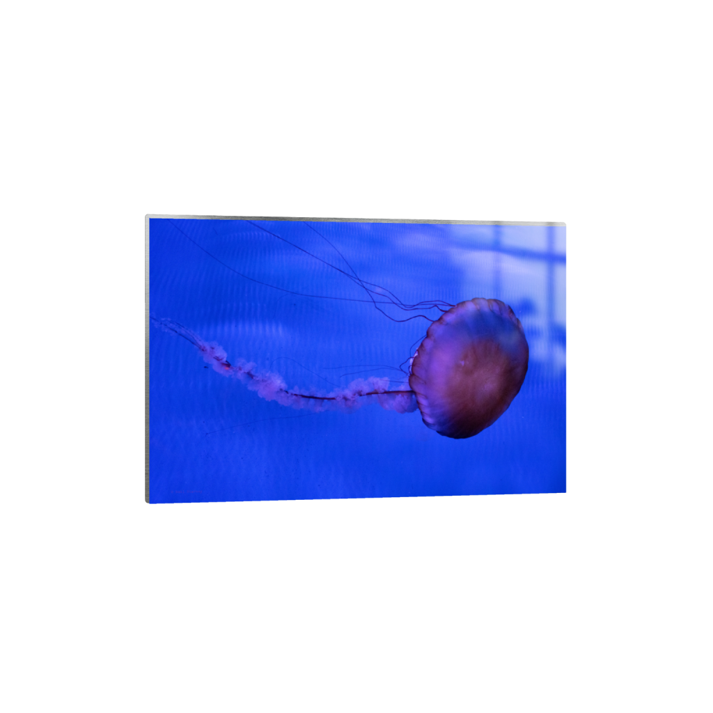 ptq_13_3_0_0_6960_4640_0_false_ffffff_0_0_.png