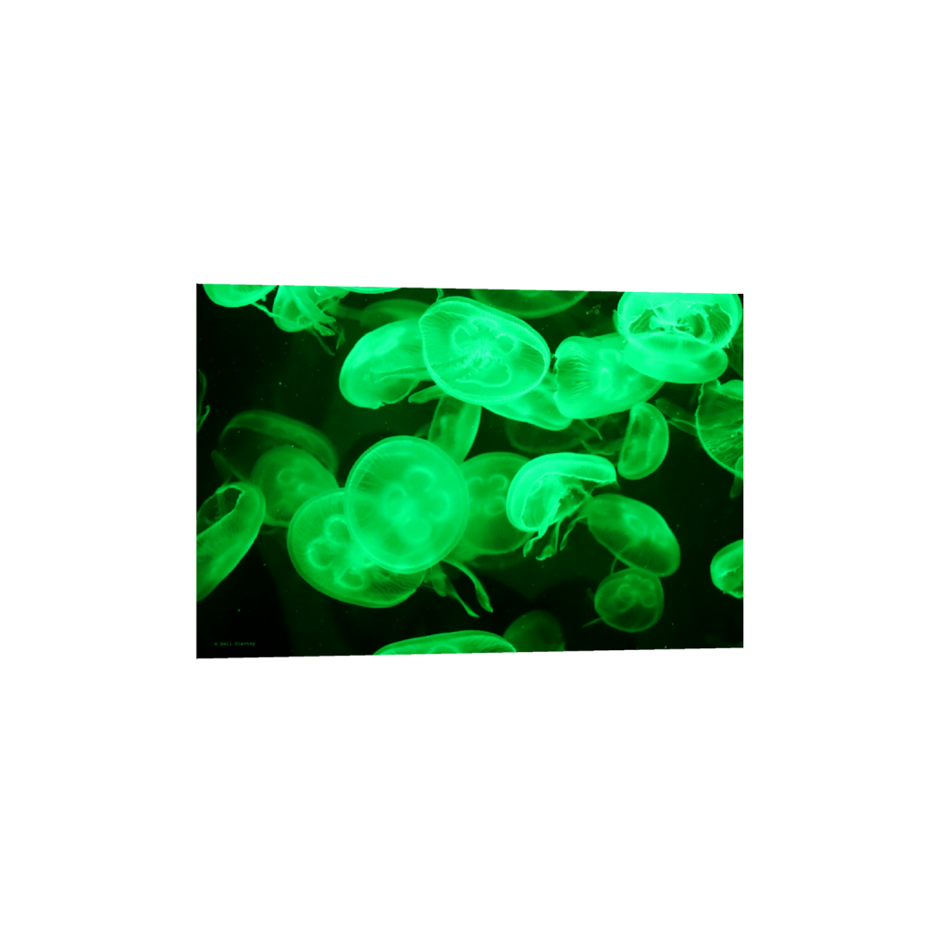 ptq_1_3_0_0_6960_4640_0_false_ffffff_0_0_.png