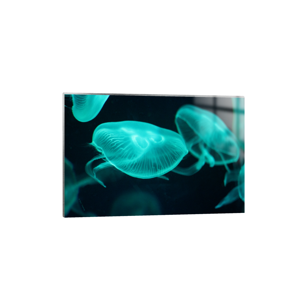 ptq_13_3_0_0_6960_4640_0_false_ffffff_0_0_.png
