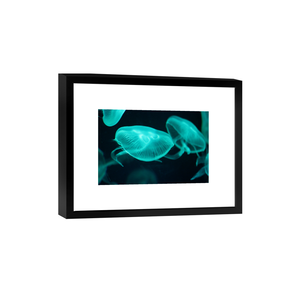 ptq_45_3_0_0_6960_4640_0_false_ffffff_0_0_.png