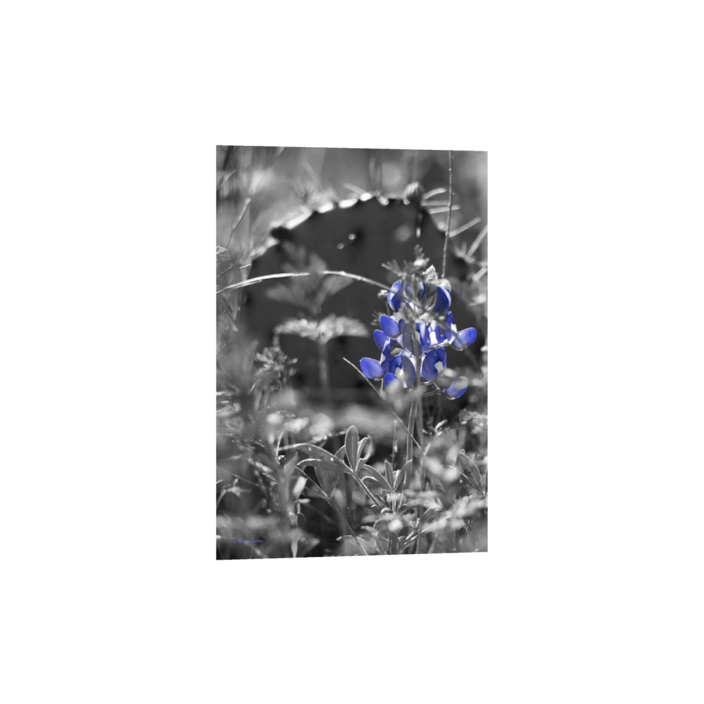 ptq_1_3_0_0_4640_6960_0_false_ffffff_0_0_.png