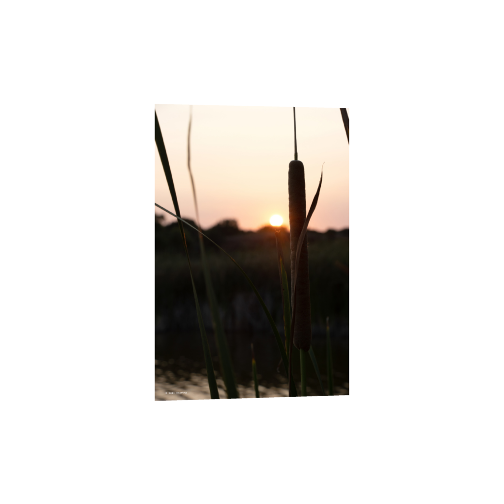 ptq_34_3_0_0_4800_7200_0_false_ffffff_0_0_.png