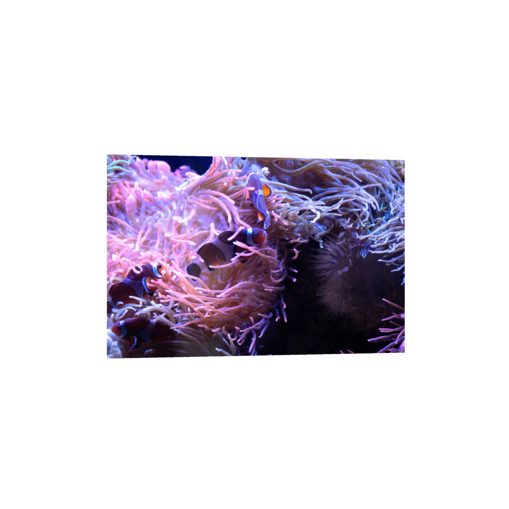 ptq_1_3_0_0_6960_4640_0_false_ffffff_0_0_.png