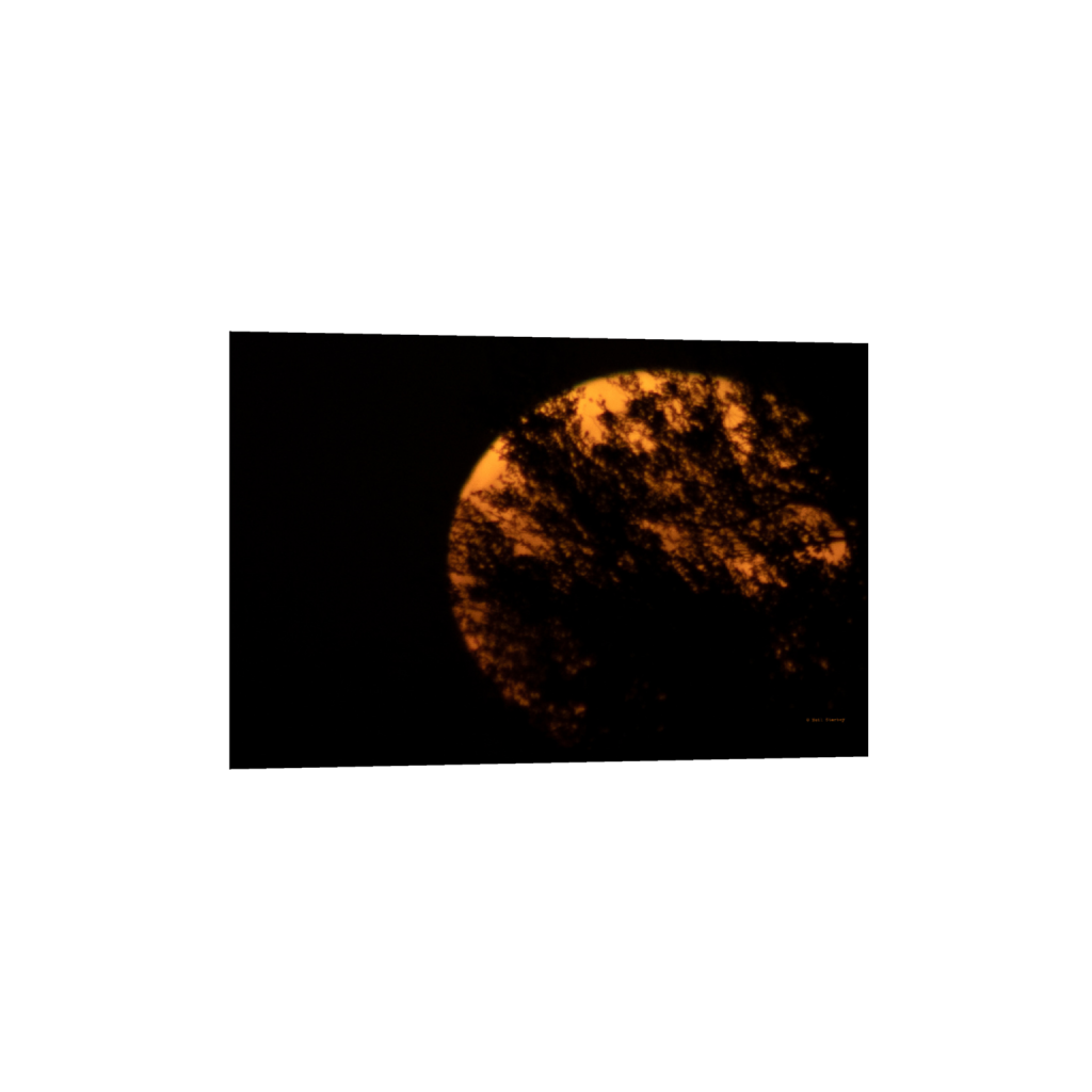 ptq_1_3_0_0_6960_4640_0_false_ffffff_0_0_.png