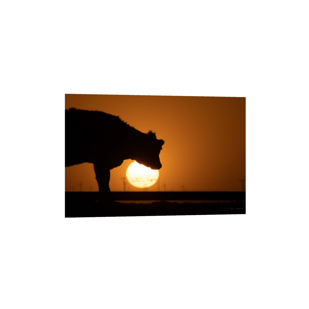 ptq_1_3_0_0_6960_4640_0_false_ffffff_0_0_.png
