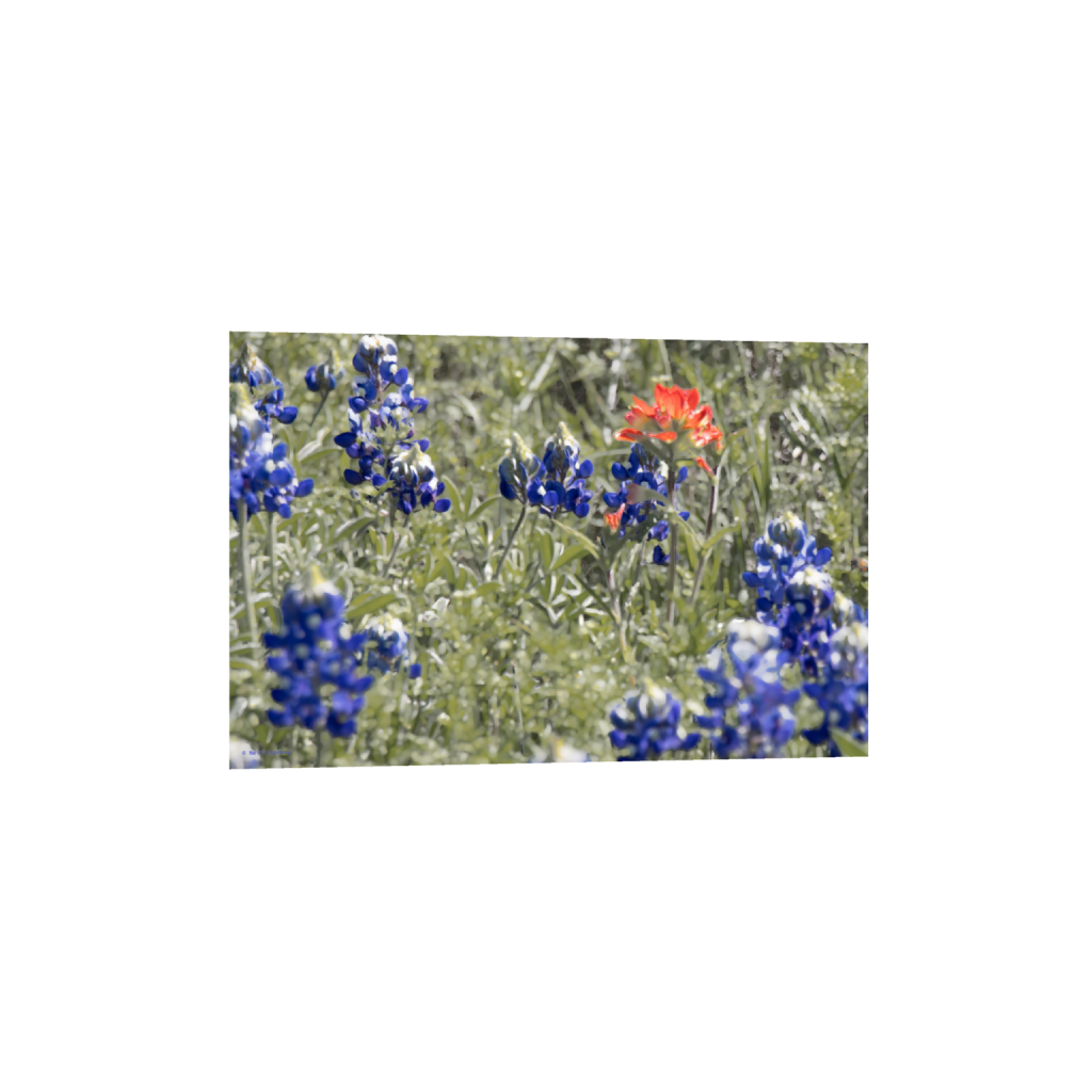 ptq_1_3_0_0_6960_4640_0_false_ffffff_0_0_.png